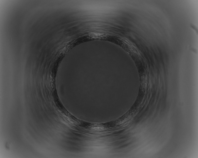X0000091930653200709191400