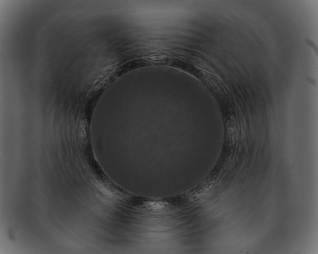 X0000091930654200709191400