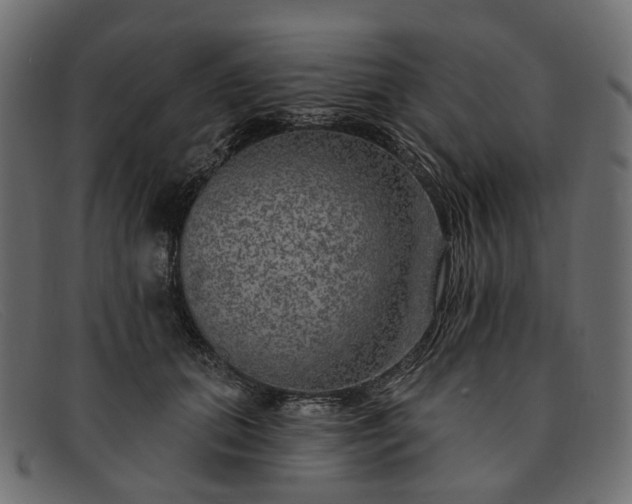 X0000091930655200709191401