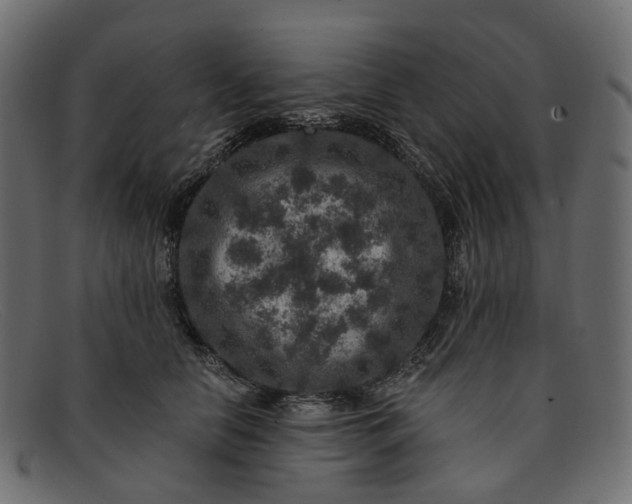 X0000091930658200709191401