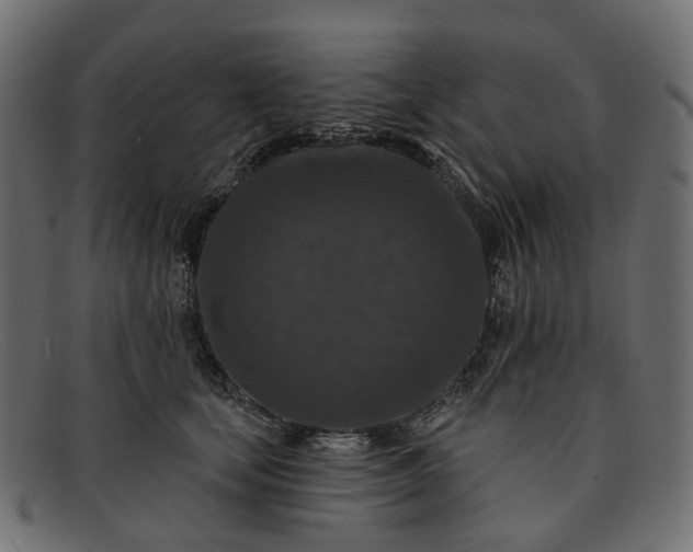 X0000091930659200709191401