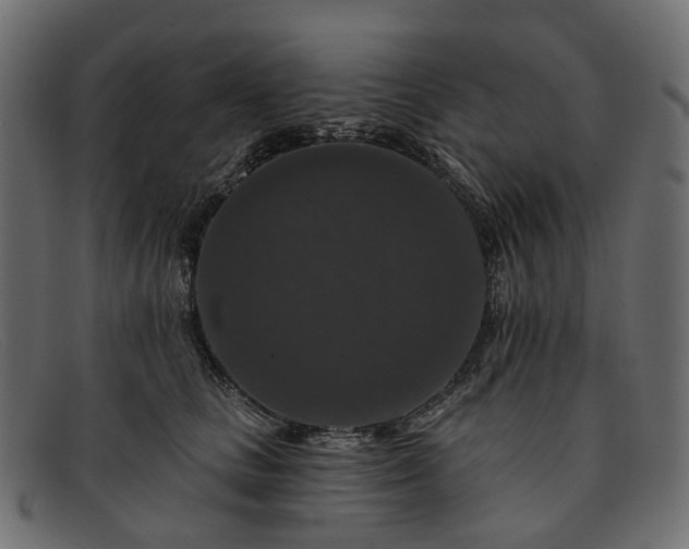 X0000091930661200709191401