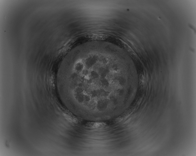 X0000091930663200709191401