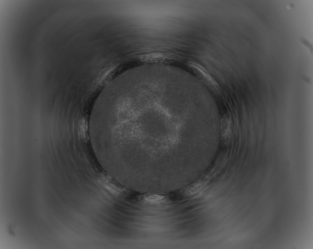 X0000091930669200709191401