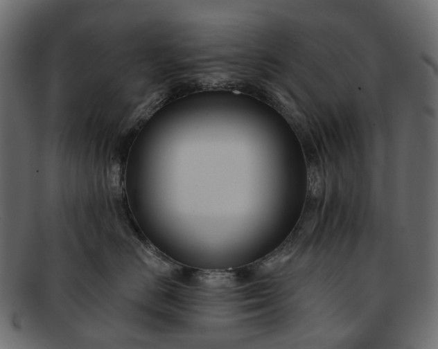 X0000091930670200709191401