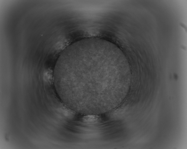 X0000091930672200709191401