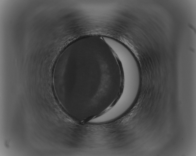X0000091930673200709191400