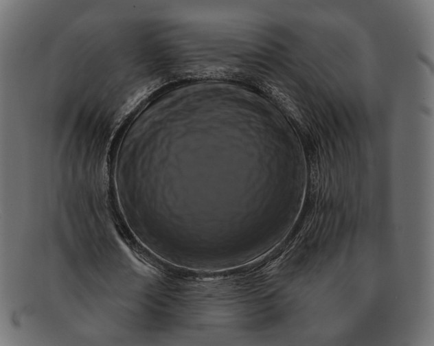 X0000091930674200709191400
