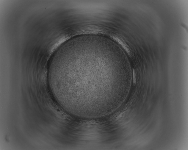 X0000091930675200709191400
