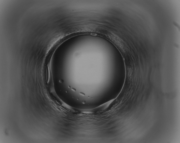 X0000091930676200709191400