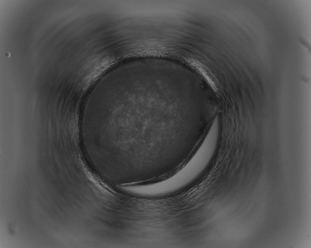 X0000091930677200709191400