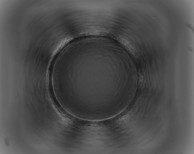 X0000091930678200709191400
