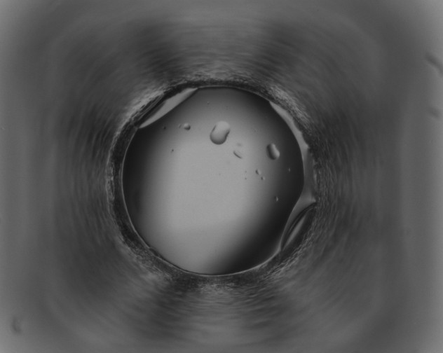 X0000091930680200709191400