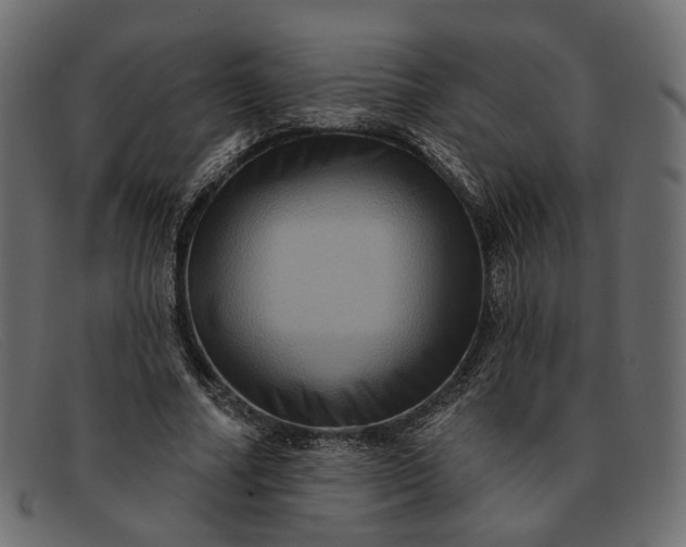 X0000091930682200709191400