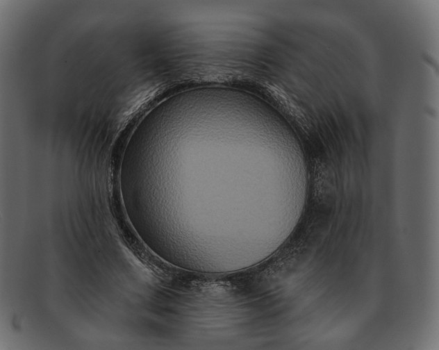 X0000091930683200709191400