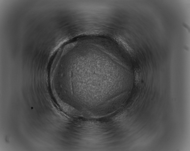X0000091930684200709191400