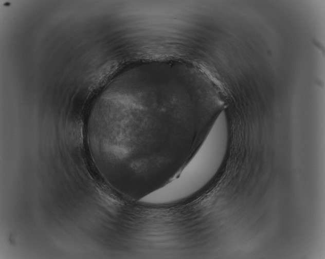 X0000091930685200709191400