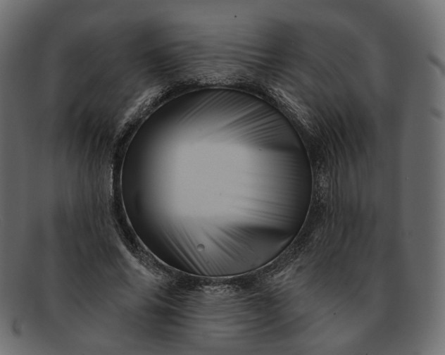 X0000091930686200709191400
