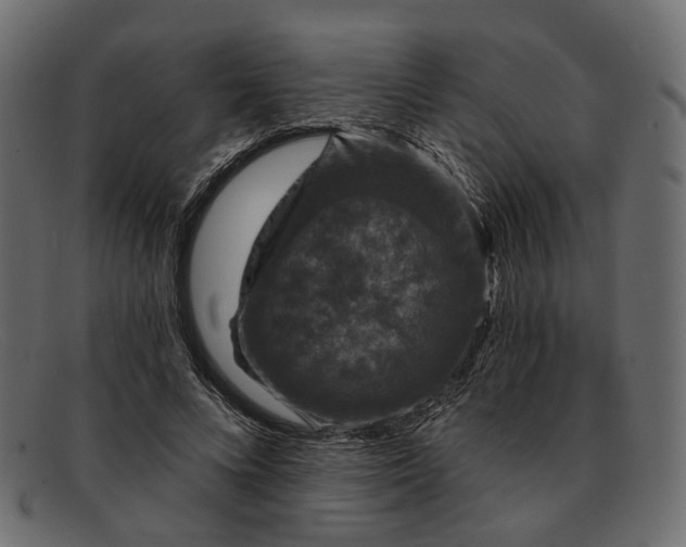 X0000091930688200709191400