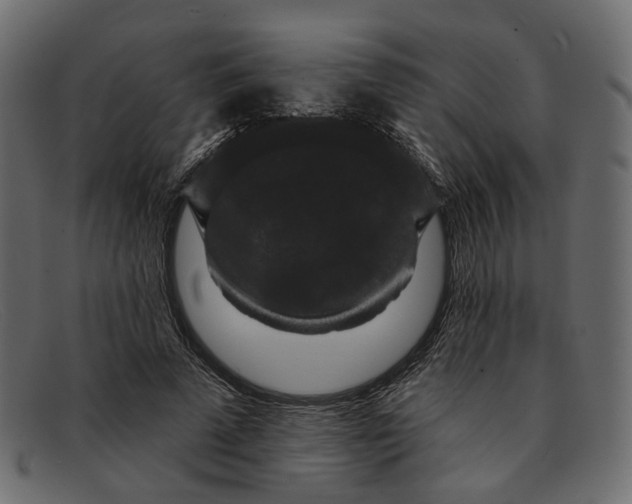 X0000091930689200709191400