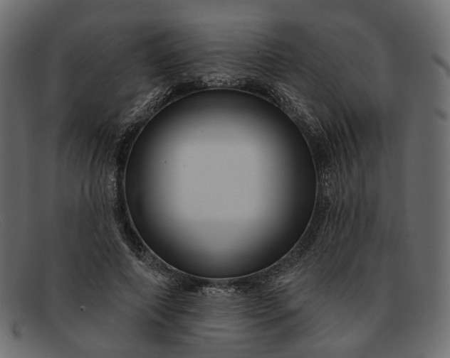 X0000091930690200709191400