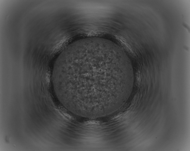 X0000091930691200709191400