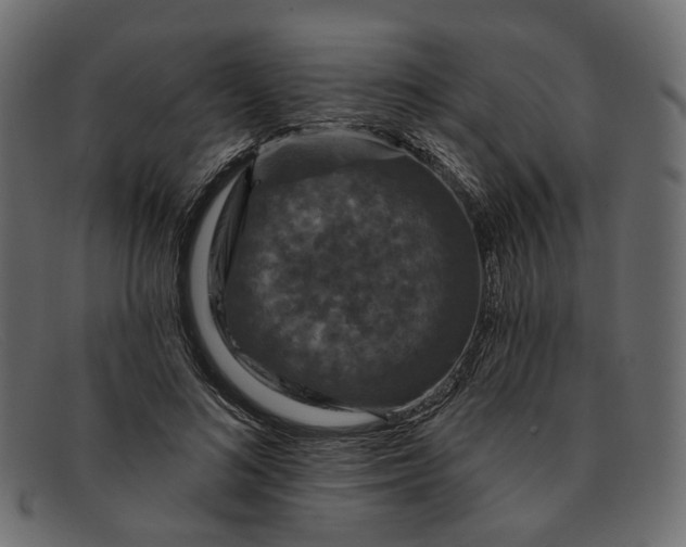 X0000091930692200709191400
