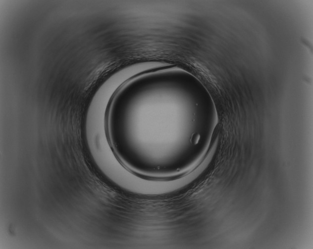X0000091930693200709191400
