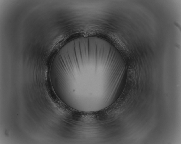X0000091930694200709191400