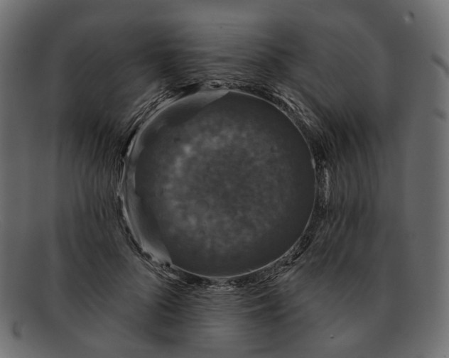 X0000091930696200709191400