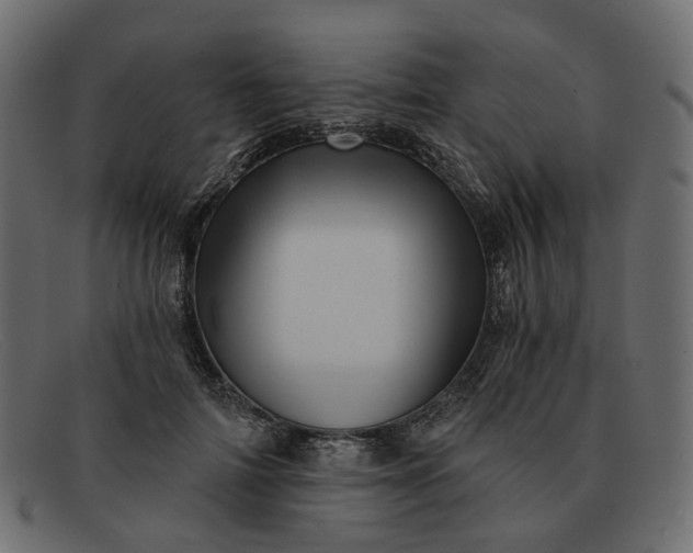 X0000091930698200709191400