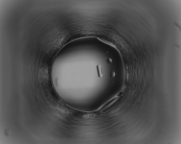 X0000091930700200709191400