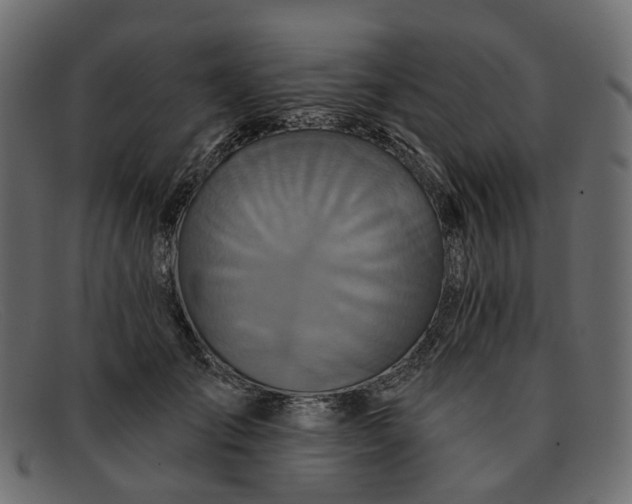 X0000091930701200709191400