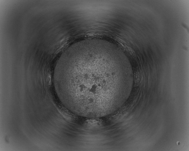 X0000091930703200709191400