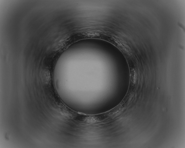 X0000091930704200709191400