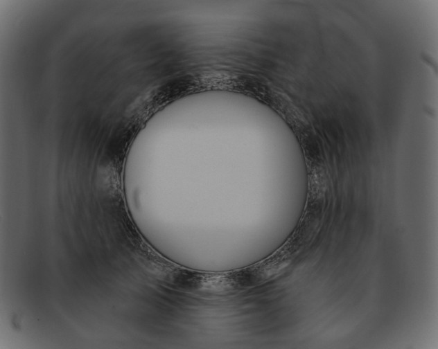 X0000091930705200709191400