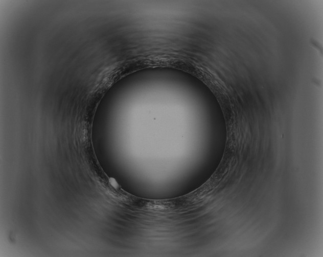 X0000091930706200709191400