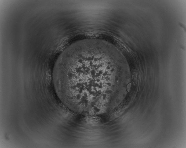 X0000091930707200709191400