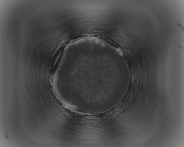 X0000091930708200709191400