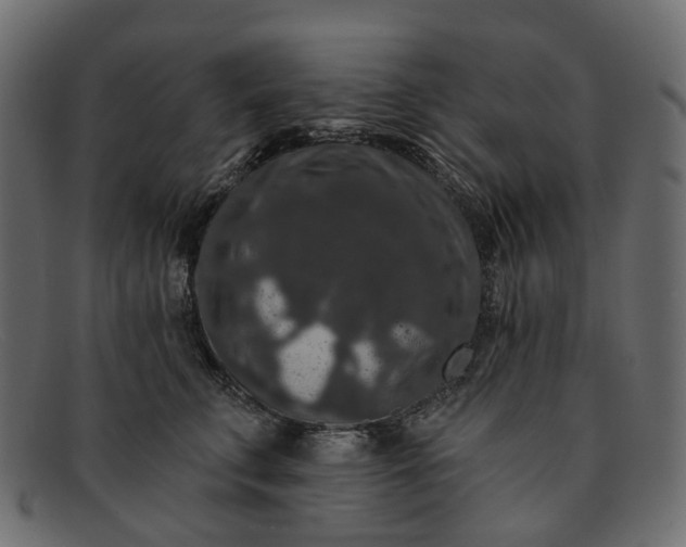 X0000091930711200709191400