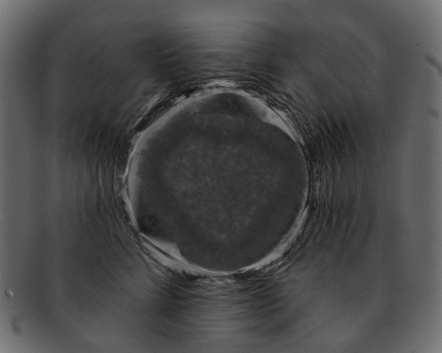 X0000091930712200709191400
