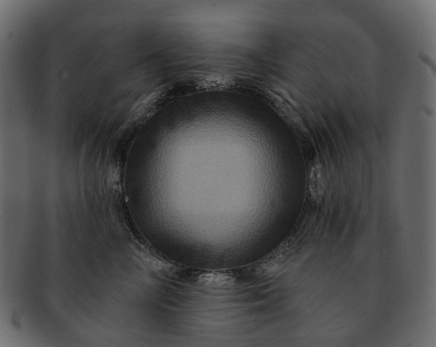 X0000091930714200709191400
