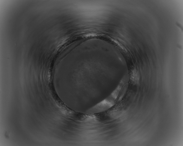 X0000091930715200709191400