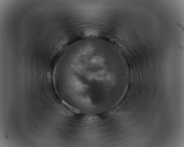 X0000091930716200709191400
