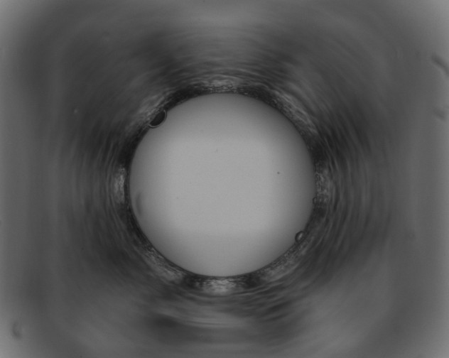 X0000091930717200709191400