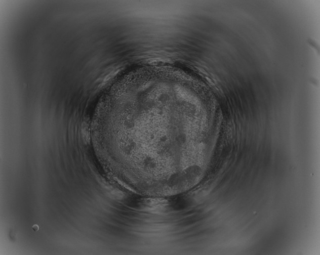 X0000091930719200709191400