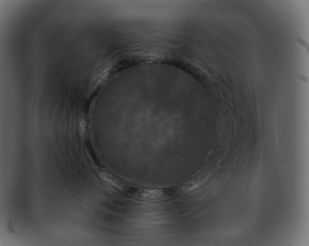 X0000091930720200709191400