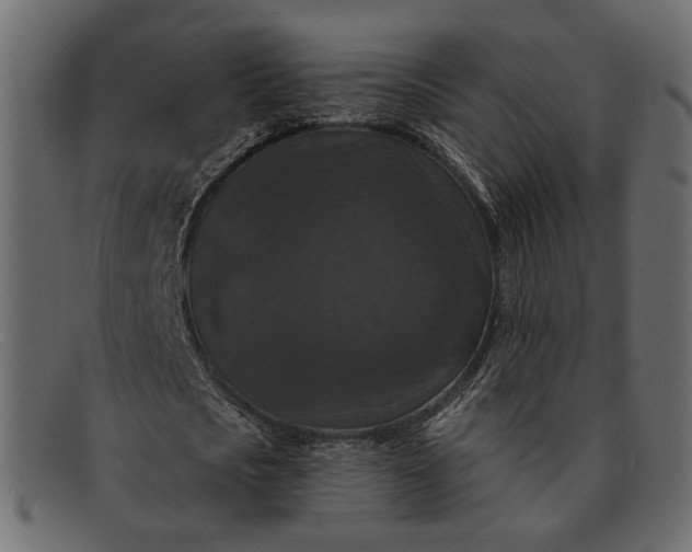 X0000091930721200709191359