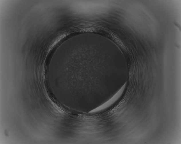 X0000091930722200709191359