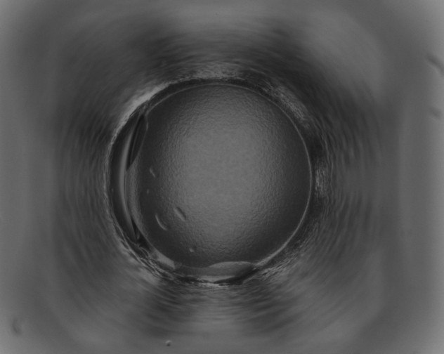 X0000091930724200709191359